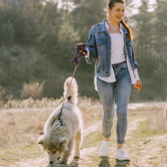 GENUINE LEATHER Dog Leash Heavy Duty Training Lead for Small to Large Dogs - Picture 2 of 7